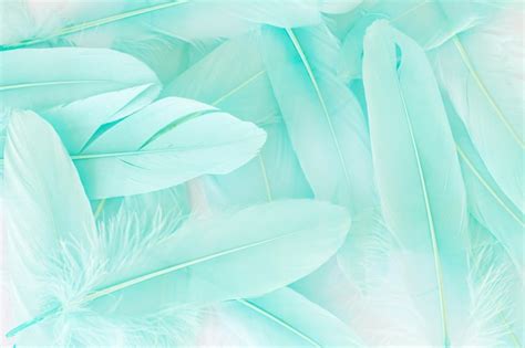 Premium Photo Light Turquoise Emerald Green Feathers Background