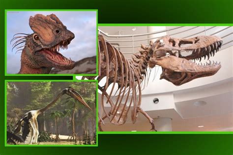 5 Datos Sobre Los Dinosaurios De Jurassic World Elnorte