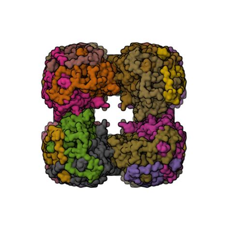 RCSB PDB 1EAA ATOMIC STRUCTURE OF THE CUBIC CORE OF THE PYRUVATE