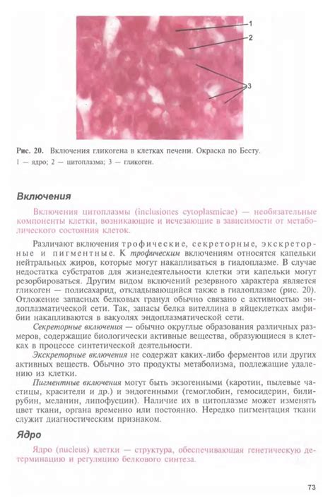 Гистология, цитология и эмбриология - Афанасьев Ю.И., Юрина Н.А. - 2002