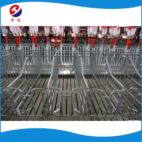 High Quality Gestation Crates Stall Pen For Pigs China Pig Stall And