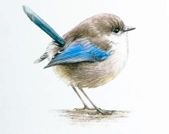 Little Bird, Watercolor Painting, Birds, ORIGINAL Watercolor, Bird Art ...