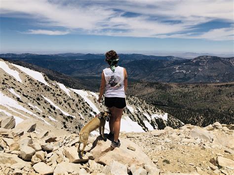 Best Hiking Trails in Big Bear Lake - The Hungry Mountaineer