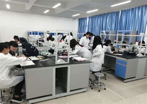 基础医学实验室建设情况教学工作医学院