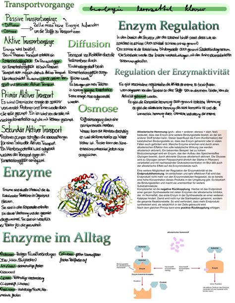 Untitled Lernzettel Biologie Klasse Bnnlozir Lernzetteh Klausur