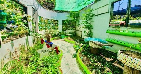 San Antonios ‘urban Garden Tops 29 Other Pasig Barangays Philippine