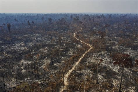 salto de 22 desmatamento anual na Amazônia atinge patamar de 13