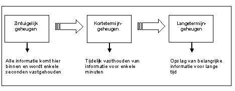 Slingeland Ziekenhuis patiëntfolder Geheugenstoornissen