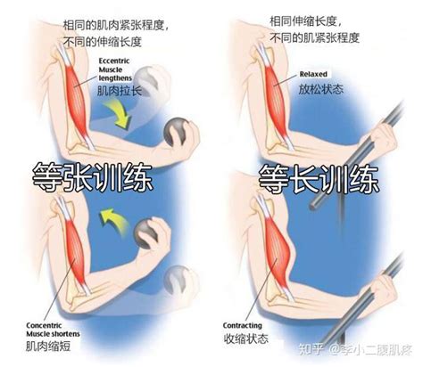 做平板支撑时肌肉发抖，三个方法增加秒数 知乎