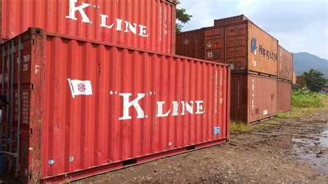 Galvanized Steel Isolated Container Cargo Shipping Containers Capacity