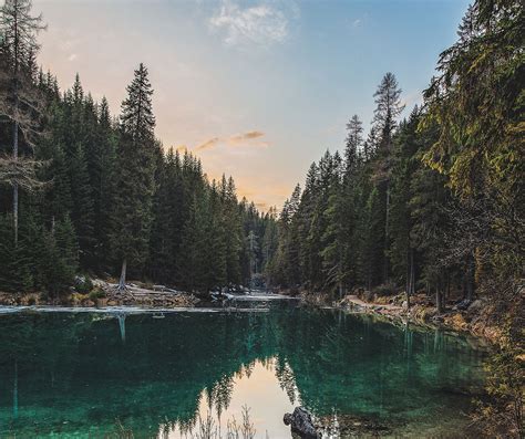 forest-bg – ERGO Grips