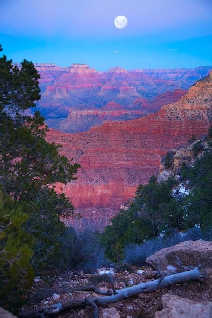 Premium Photo | Grand canyon at night