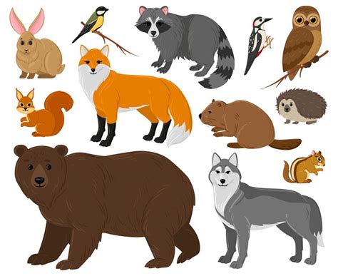 Cartoon forest animals, owl, bear, fox, raccoon and squirrel. Woodland ...