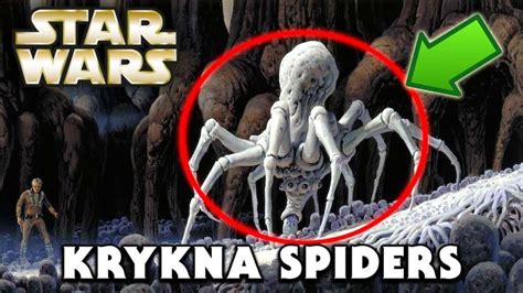 Mandalorian Spiders Explained Star Wars The Mandalorian Star Wars