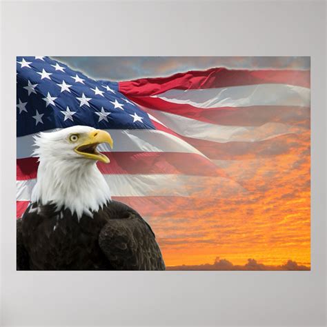 US Flag Eagle Poster Zazzle