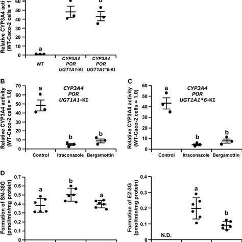 Sn 38 Induced Cytotoxicity In The Cyp3a4·por·ugt1a16 Ki Caco 2 Cells