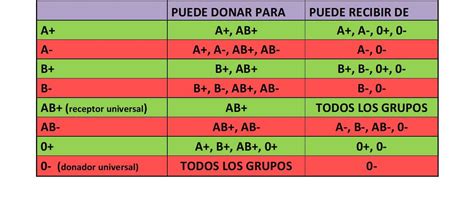 GENETICA LOS GRUPOS SANGUINEOS