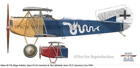 Fokker D Vii Colors