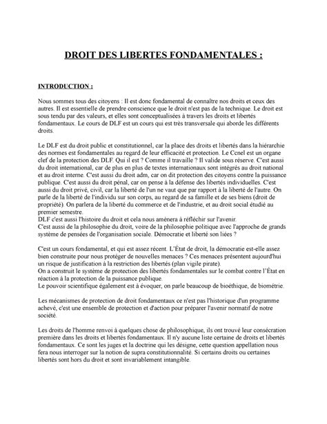 Droit Des Libertes Fondamentales Final Droit Des Libertes