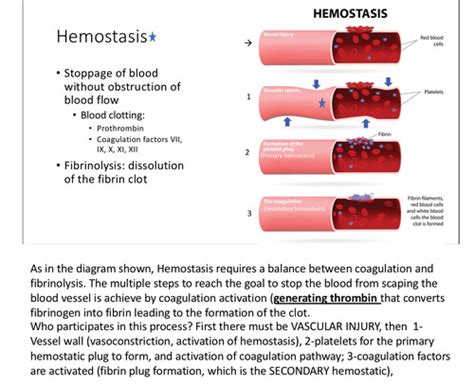 ClinPath Hemostasis Part 1 Exam 1 Flashcards Quizlet