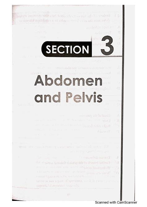 SOLUTION Abdomen And Pelvis Anatomy Mcqs Complete Studypool