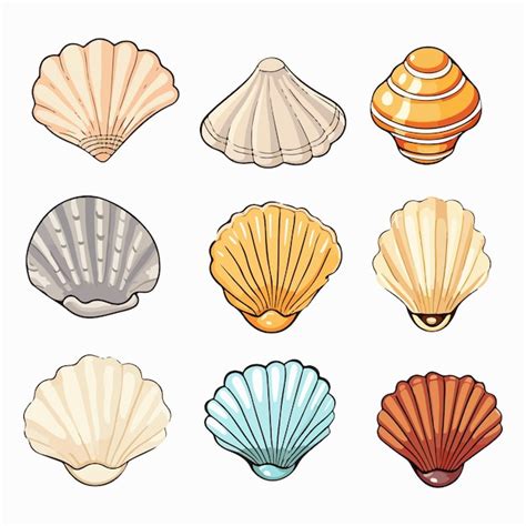 Conchas De Mar Conjunto De Ilustra Es Vetoriais Planas Conchas De