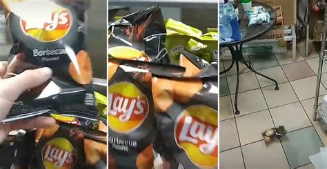 Subway Employee Finds Completely Empty Bag Of Lays Chips