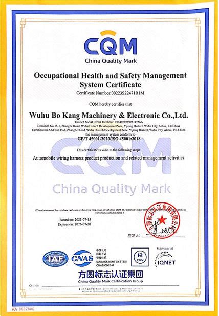 Wuhu Bokang Machinery Electronic Co Ltd