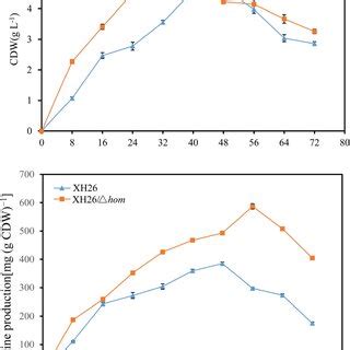 Growth A And Ectoine Accumulation B Of The Wild Type Strain Xh