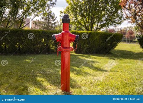 Red Metal Fire Hydrant Placed On The Lawn In The Garden In Daylight