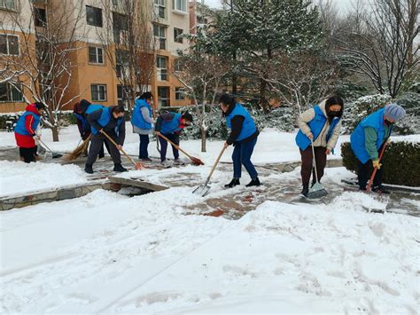 以雪为令 以动治“冻” 王佐镇积极有序应对强降雪天气