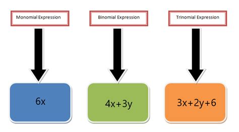 Factoring Monomials — Explanation and Examples - The Story of ...