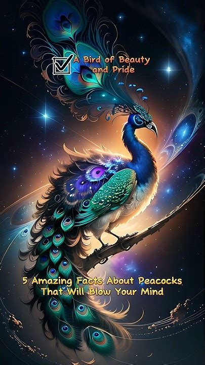 5 Amazing Facts About Peacocks That Will Blow Your Mind Youtube