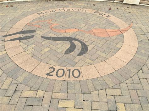 Locals are gathering at east shore park new haven connecticut today 1