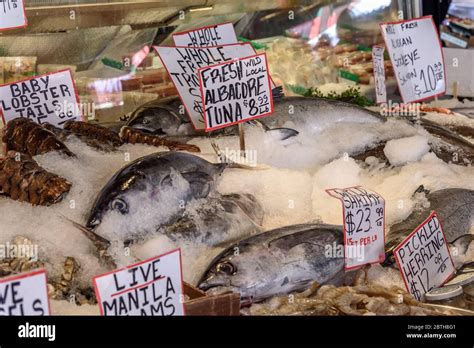 Fresh fish for sale in a farmers market. The fish is laid out in ice ...