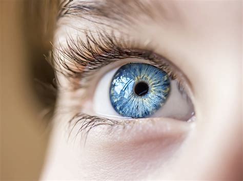 Eye Doctor in New Tampa | Florida Eye Center 
