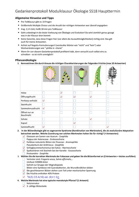 Klausur Sommersemester Fragen Und Antworten Gedankenprotokoll