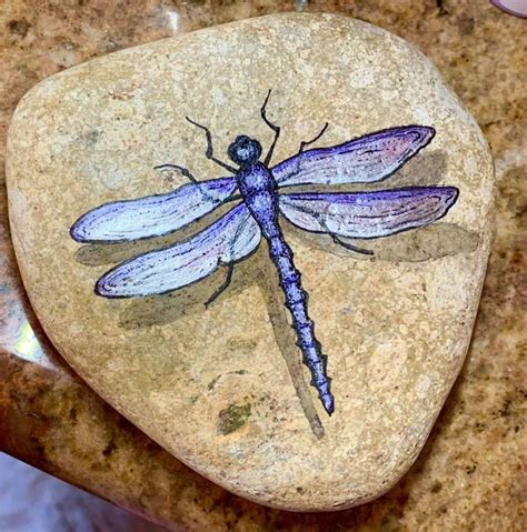 A Purple Dragonfly Sitting On Top Of A Rock