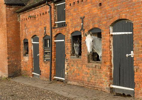 Victorian era brick horse stable barn, UK. | Horse stables, Victorian ...