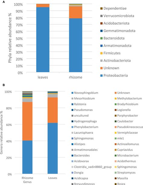 Frontiers Next Generation Sequencing Aided Screening Isolation