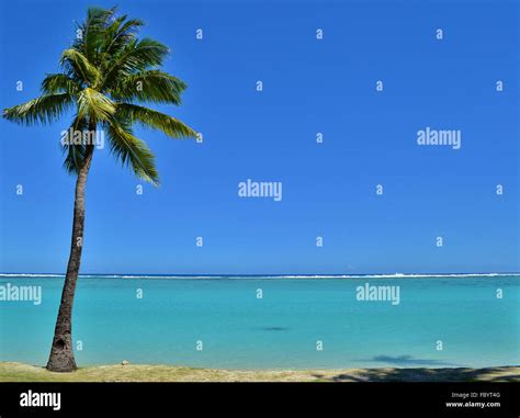 pacific island  guam