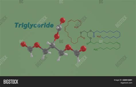 Triglyceride Image And Photo Free Trial Bigstock