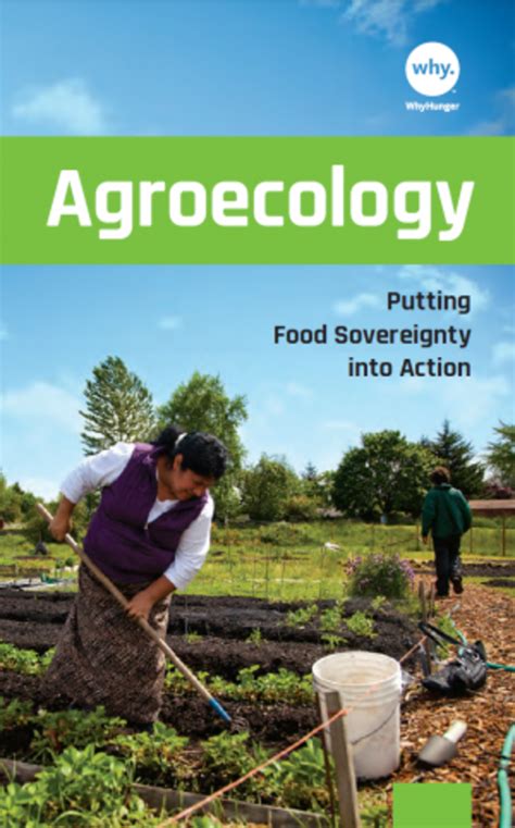 Grain Agroecology Putting Food Sovereignty Into Action