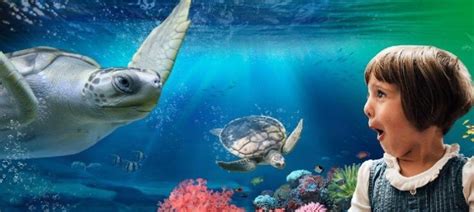 Melbourne Aquarium - tickets, prices, Keeper Talks, Feeding Times