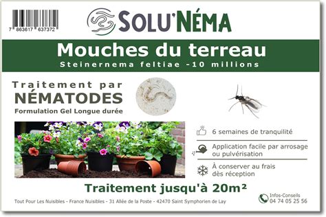 Traitement Mouches des terreaux 5 millions Nématodes SF Tout Pour