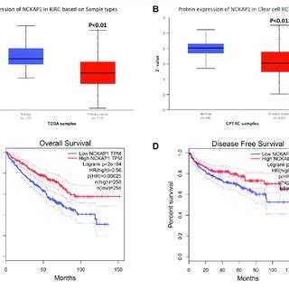 Analysis Of Nckap Expression And Survival Curve In Ccrcc On The