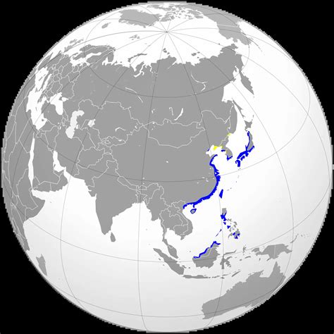 Chinese egret - Facts, Diet, Habitat & Pictures on Animalia.bio