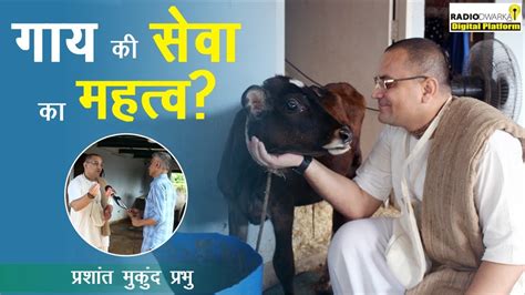 गाय की सेवा का क्या महत्व है गौ सेवा गऊ माता गाय की सेवा कैसे