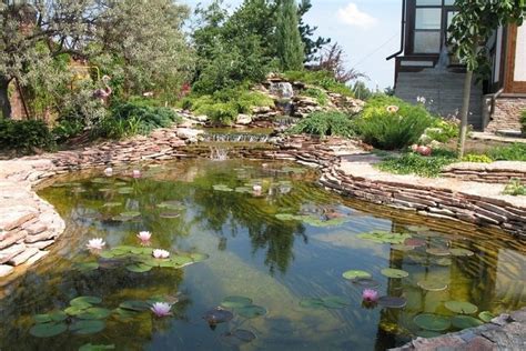 Cascade Bassin De Jardin En Id Es De Conception