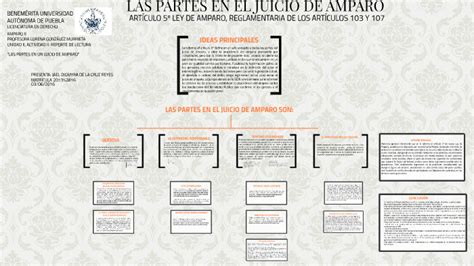 Las Partes En El Juicio De Amparo By On Prezi